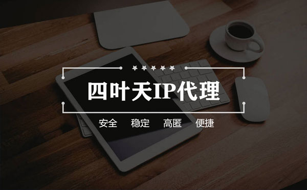 【滨州代理IP】如何快速搭建代理IP？怎么检查代理的效果？